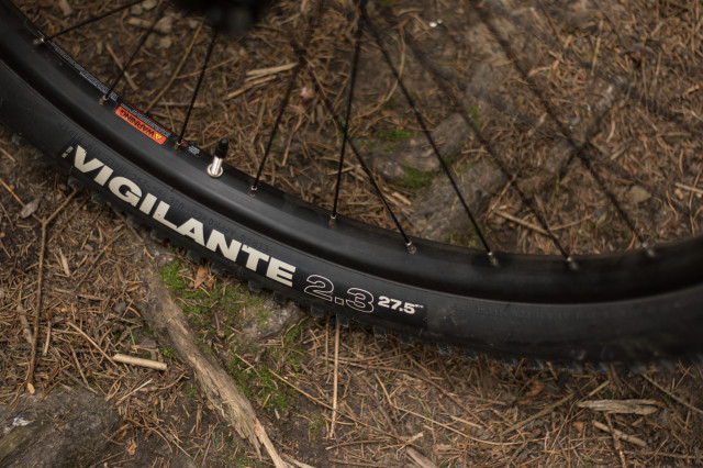 Calibre Ladies Bossnut V2 Detail Front tyre -31.jpg
