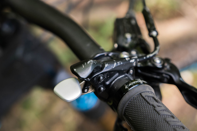 Cannondale-Jekyll-1-102.jpg