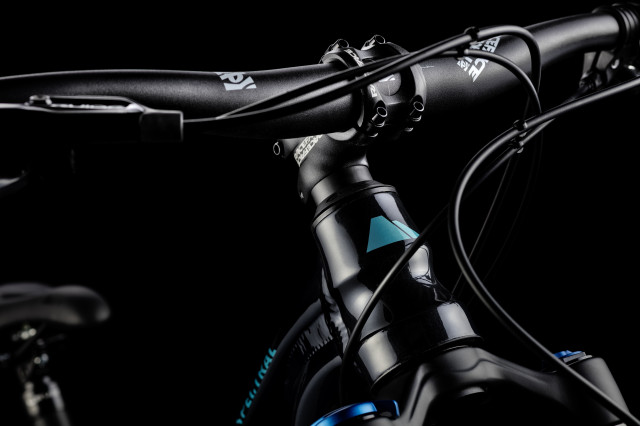 Canyon Spectral WMN Steerer Tube.jpg