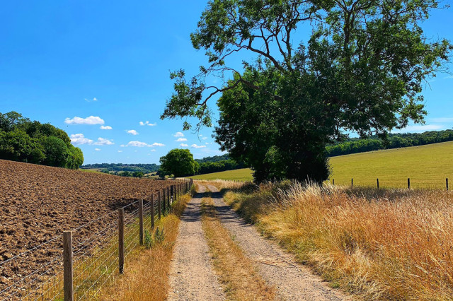 Chilterns-Gravel-Cycling-Sq1.jpeg