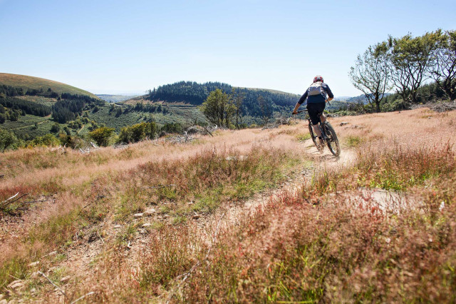Cwmcarn-MTB-trail-guide-Decathon-124.jpg
