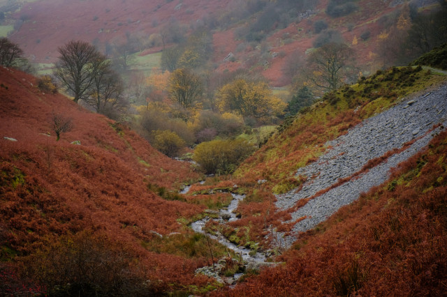Steve Thomas autumn riding 3