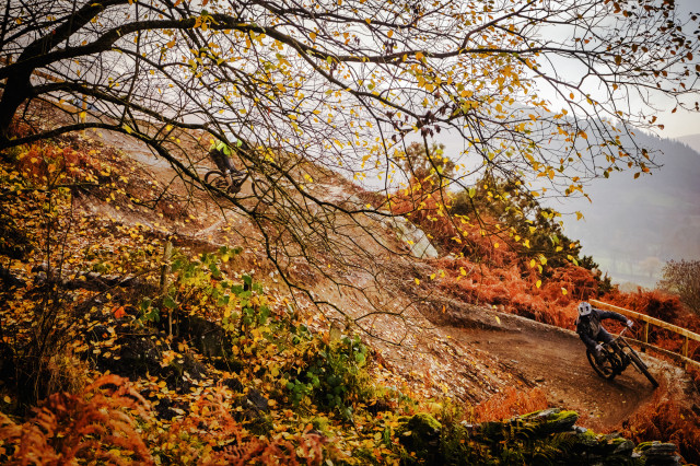 Steve Thomas autumn riding 4