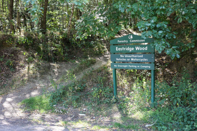 Eastridge Trail Guide-100.jpg