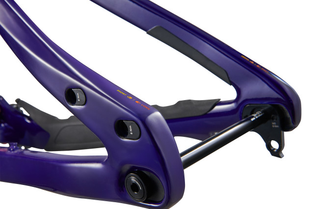 2023 Giant Glory Advanced Flip chip - dropout DH.jpg