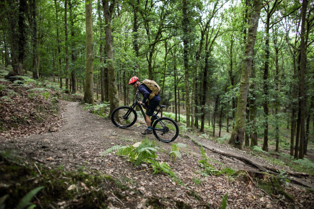 Forest of Dean Trail Guide-106.jpg