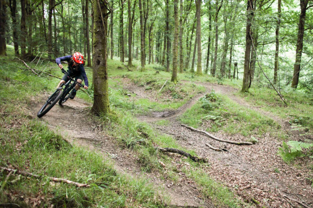 Forest of Dean Trail Guide-109.jpg