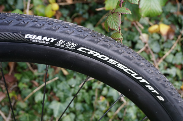 Giant Revolt 0 2020 First Look12.JPG