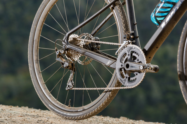 Giant Revolt Advanced gravel bike rear.jpg