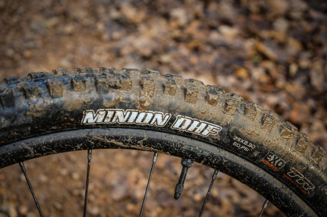 Giant Trance 29 3 Detail tyre-15.jpg