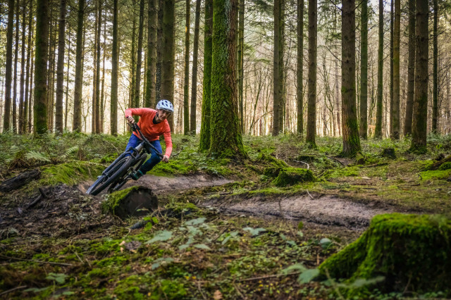 Giant Trance 29 3 Riding-12.jpg