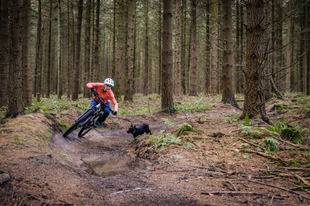 Giant Trance 29 3 Riding-14.jpg