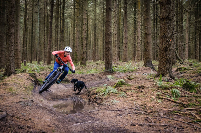 Giant Trance 29 3 Riding-15.jpg