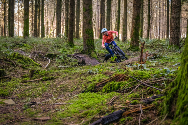 Giant Trance 29 3 Riding-2.jpg
