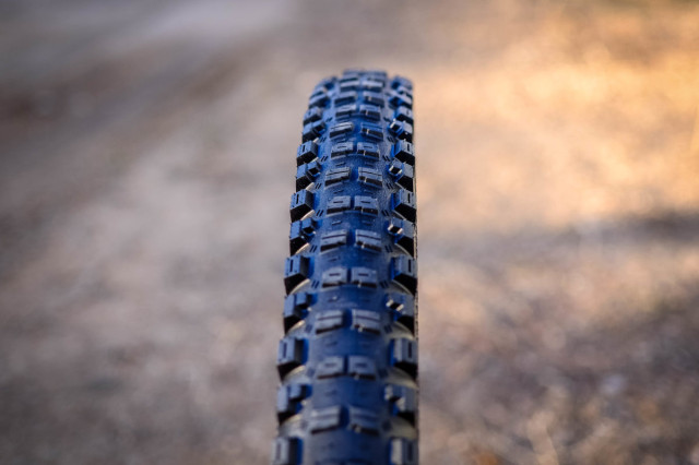 Goodyear Newton Ultimate 2.jpg