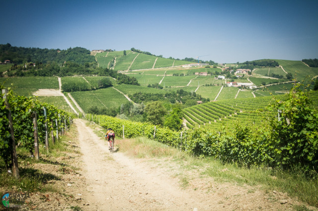 Gravel Road Series-6.jpg