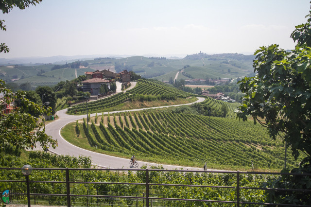 Gravel Road Series-8.jpg