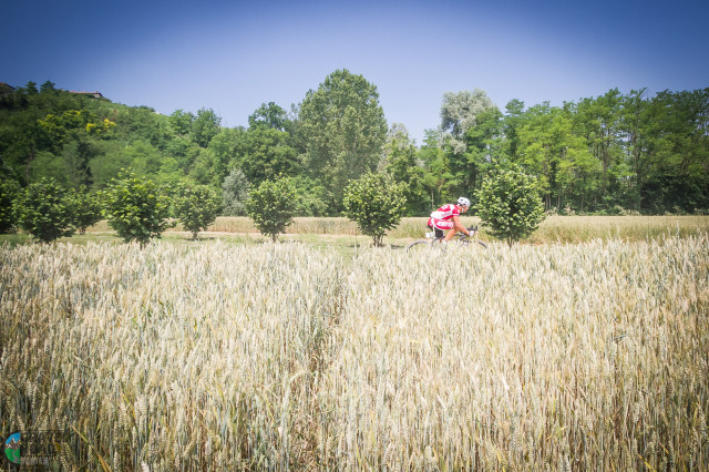 Gravel Road Series-9.jpg