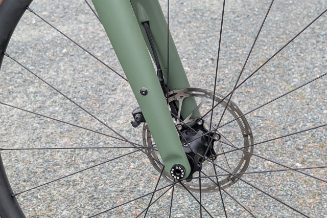 Guava Spot Force AXS Fork.jpg