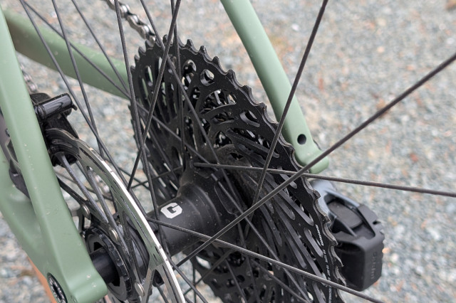Guava Spot Force AXS Rear Hub.jpg