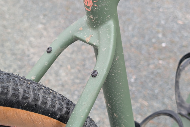 Guava Spot Force AXS Rear Mount.jpg