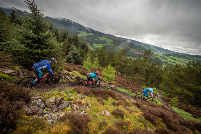 Tweedlove Transcenduro 2019