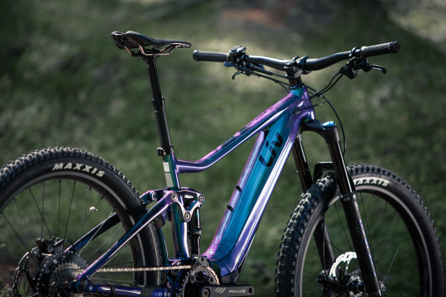 Liv Cycling Intrigue E+1 Detail e-bike Frame