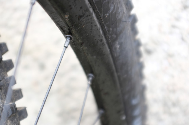Halo Gravitas 29 Wheels review 2021 2.jpg