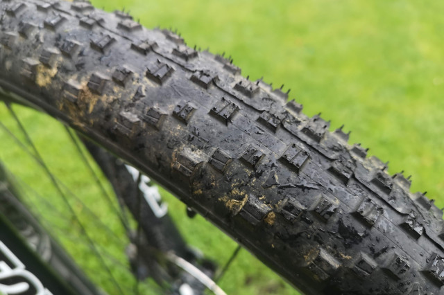 Wolfpack Speed tyre