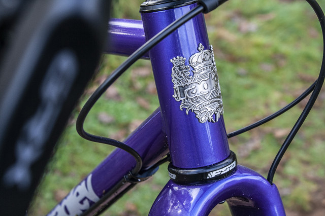 Ragley Trig gravel bike headtube