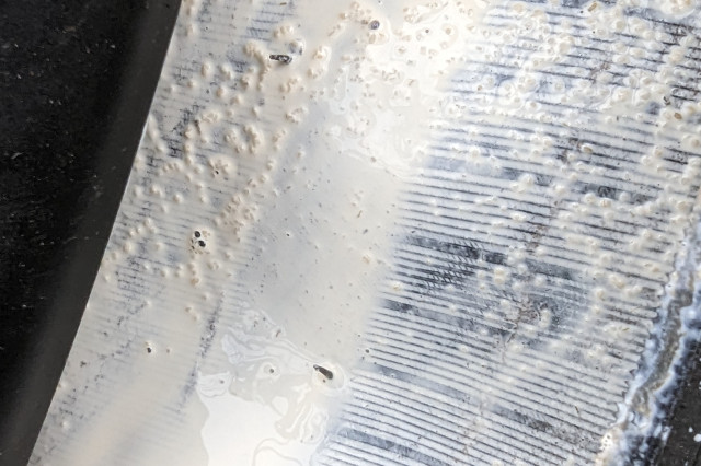 Joes_Elite_Racer_Sealant_Thorns.jpg