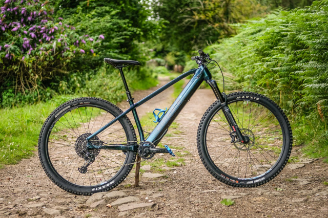 Kinesis RISE e-mtb-3.jpg
