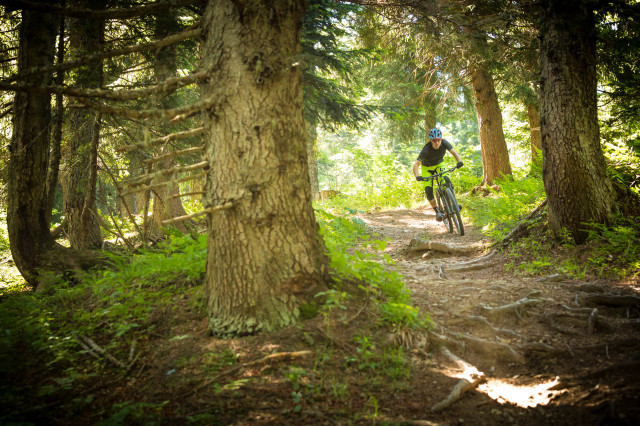 Lapierre-Prorace-SAT-use-112.jpg