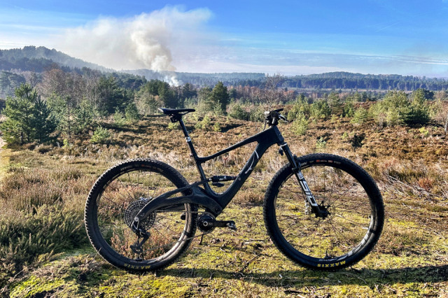 Lauf Elja