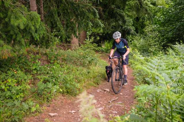 Liv Brava SLR gravel bike-6.jpg