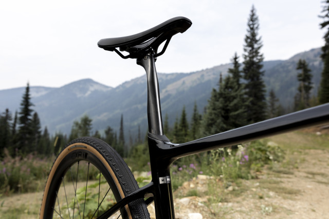 Liv Devote Advanced Pro_D-Fuse SLR seatpost_Liv Cycling.jpg