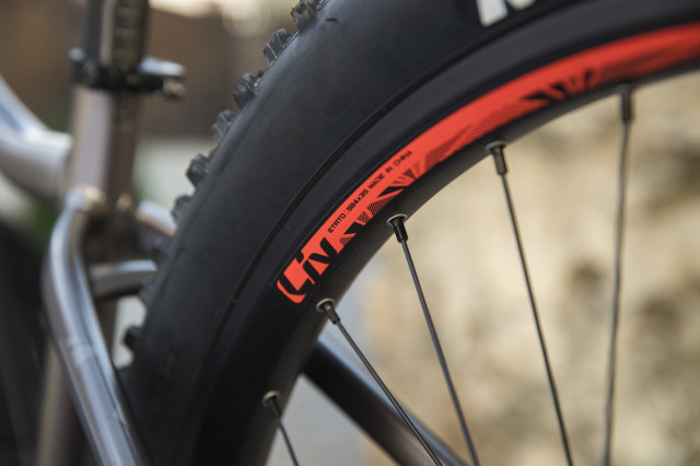 Liv Vall E+ e-bike detail wheels