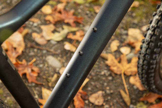 2023 Liv Lurra 1 - Frame Mounts .jpg