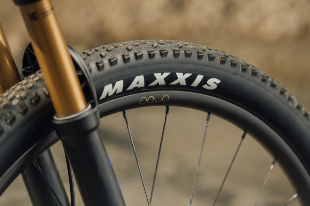 2022 Orbea Oquo wheels MP30 LTD.jpg