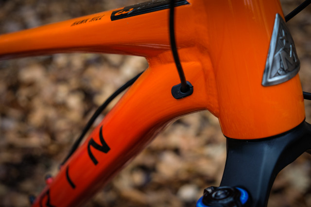 Marin Hawk Hill 3 Detail Paint-24.jpg
