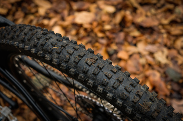Marin Hawk Hill 3 Detail Tyre-23.jpg