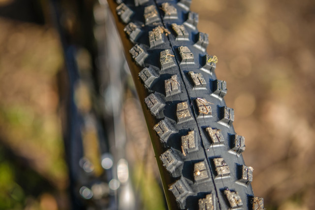 Marin Rift Zone 2 tyre-12.jpg