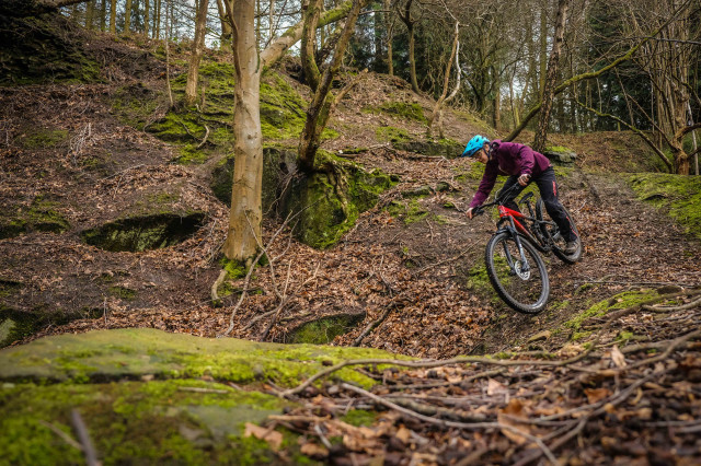 Marin Rift Zone 2 Riding-20.jpg