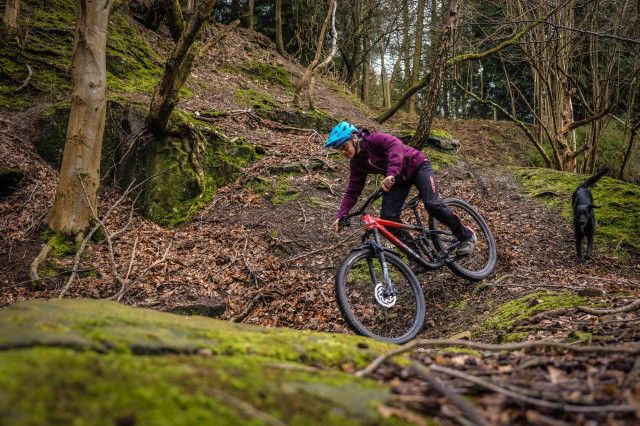 Marin Rift Zone 2 Riding-21.jpg