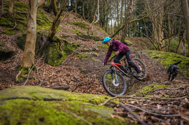 Marin Rift Zone 2 Riding-22.jpg