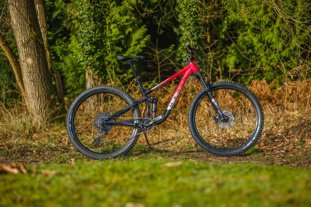 Marin Rift Zone 2 detail-4.jpg