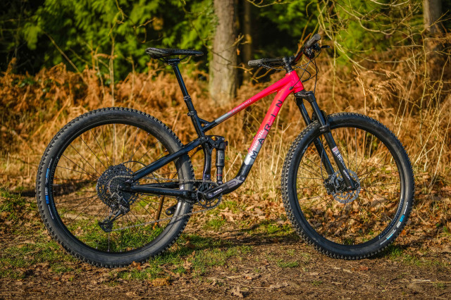 Marin Rift Zone 2 detail-5.jpg
