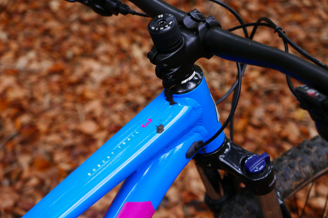 Marin-Bobcat-Trail-3-2020-review-103.jpg