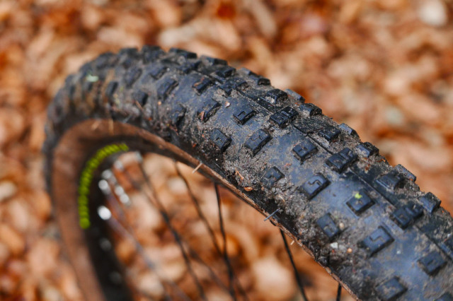 Marin-Bobcat-Trail-3-2020-review-106.jpg
