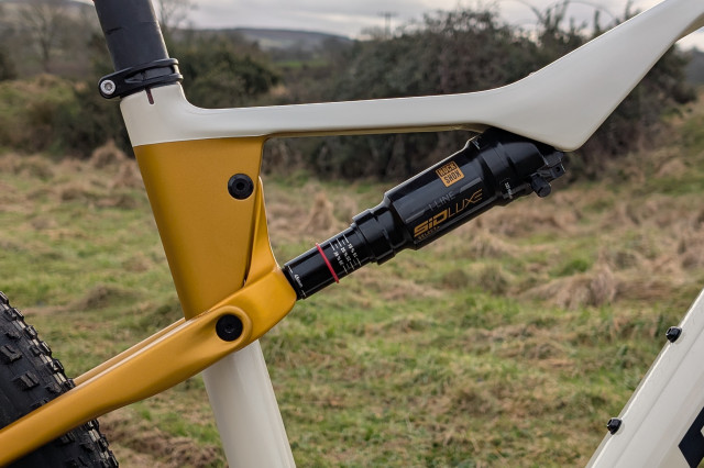 Orbea Oiz M21 linkage.jpg
